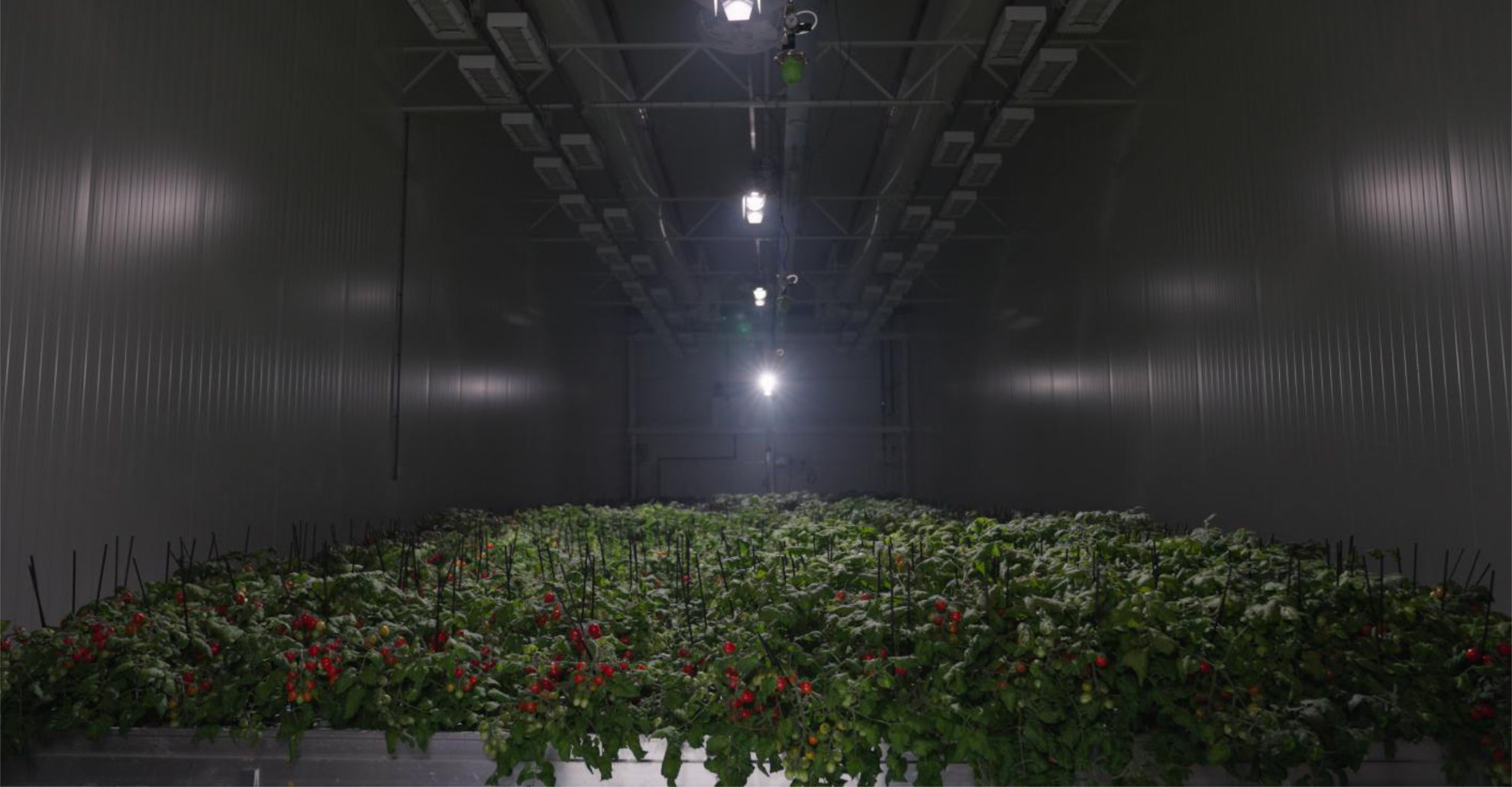 Indoor Farming